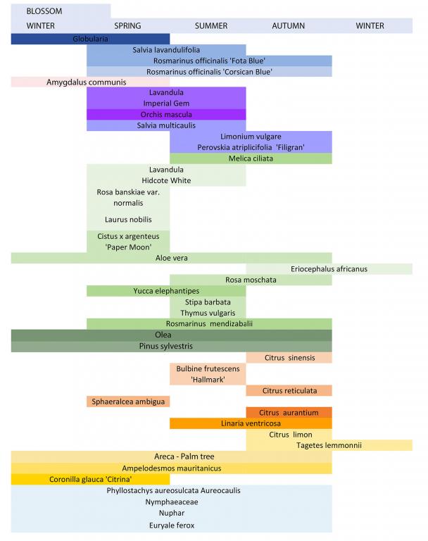 Planting and flowering list