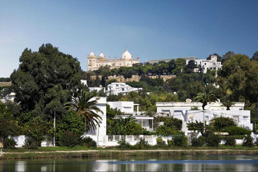 Distant view of Byrsa Hill - Museum